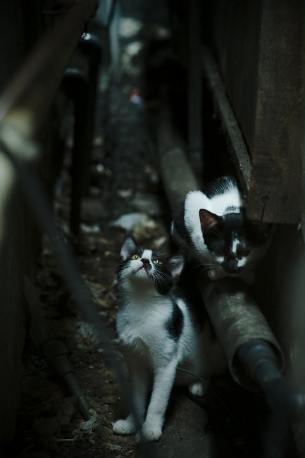 中距离的逆袭，当德罗赞用古典艺术终结掘金霸权