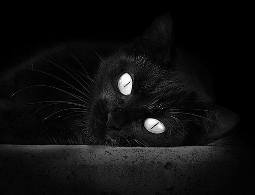 终局逆转,拉文绝境超车锁定世界冠军