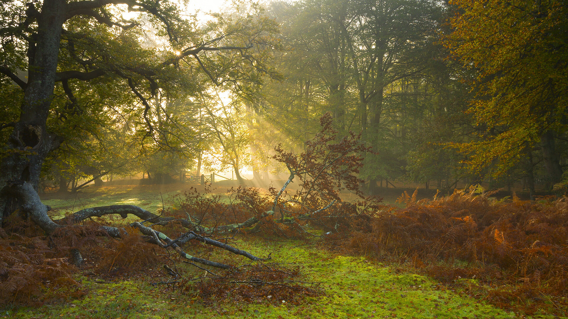 布克演绎完美控场艺术，上海队教科书式胜利从北京带走