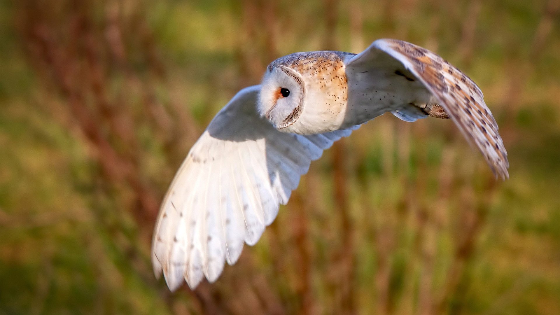 思维扩展，文章标题备选方案