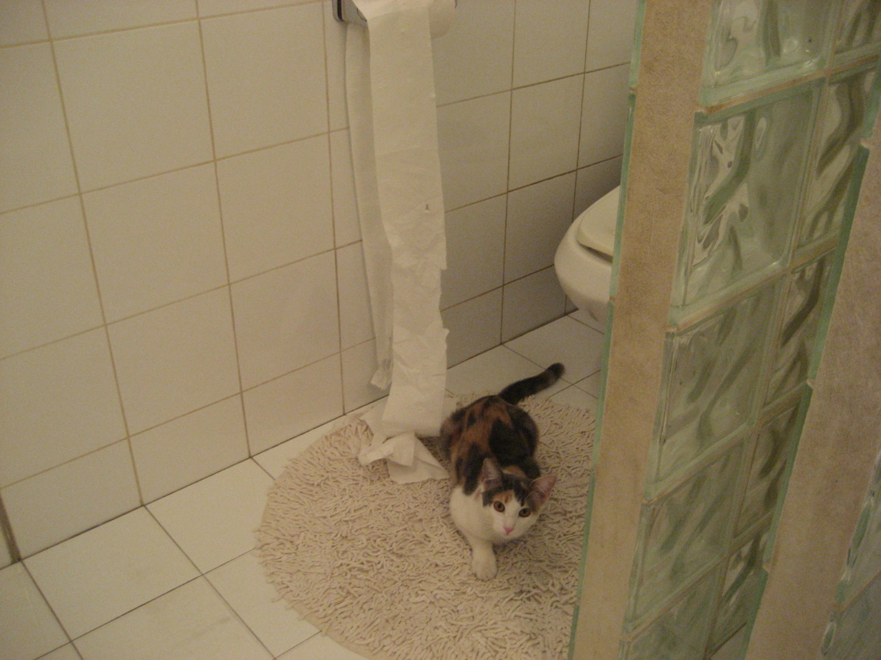 开云体育官网-胜利者的王座永不谢幕，当诺坎普的风暴席卷黄浦江