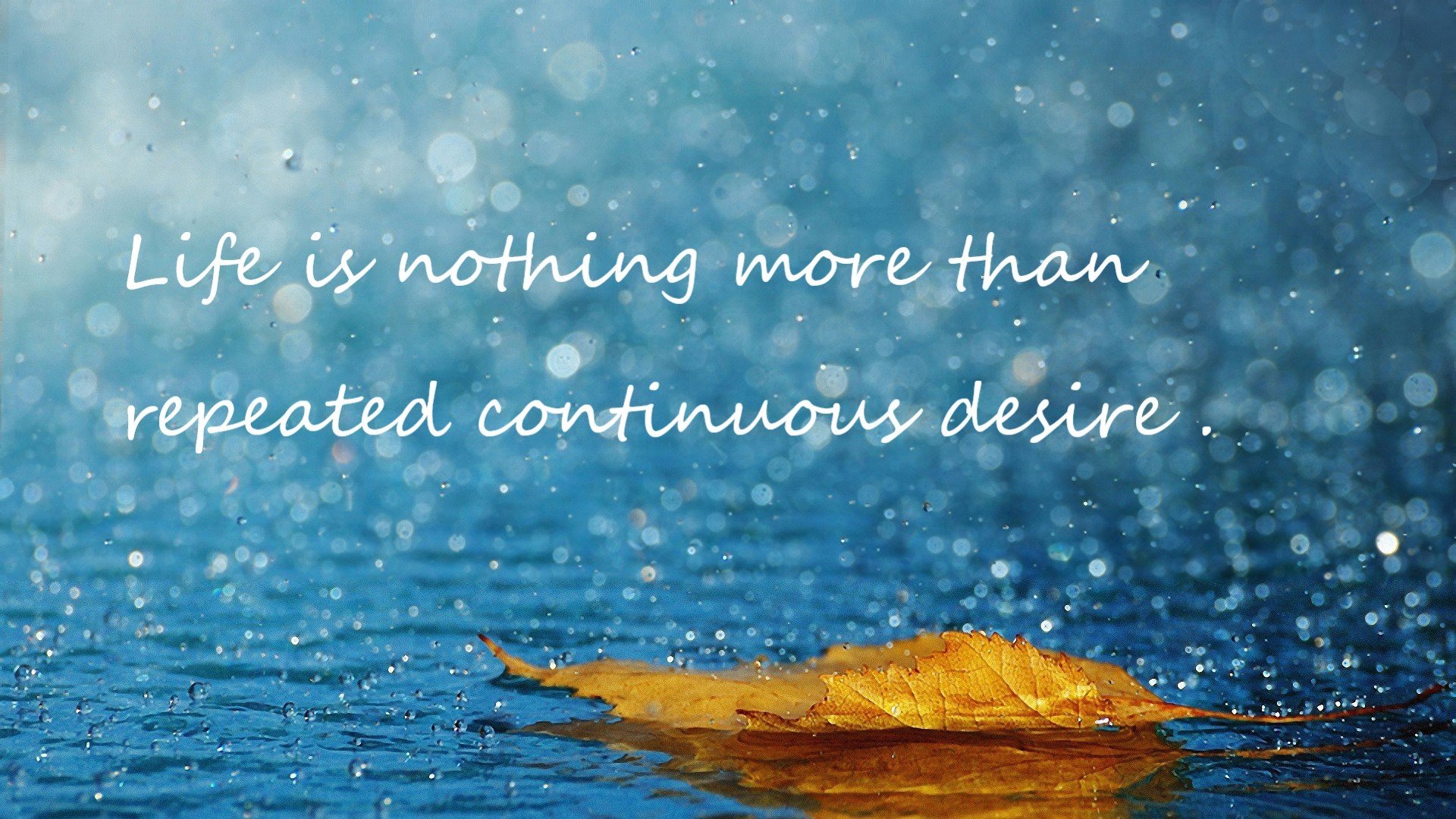 胜利者的王座永不谢幕，当诺坎普的风暴席卷黄浦江