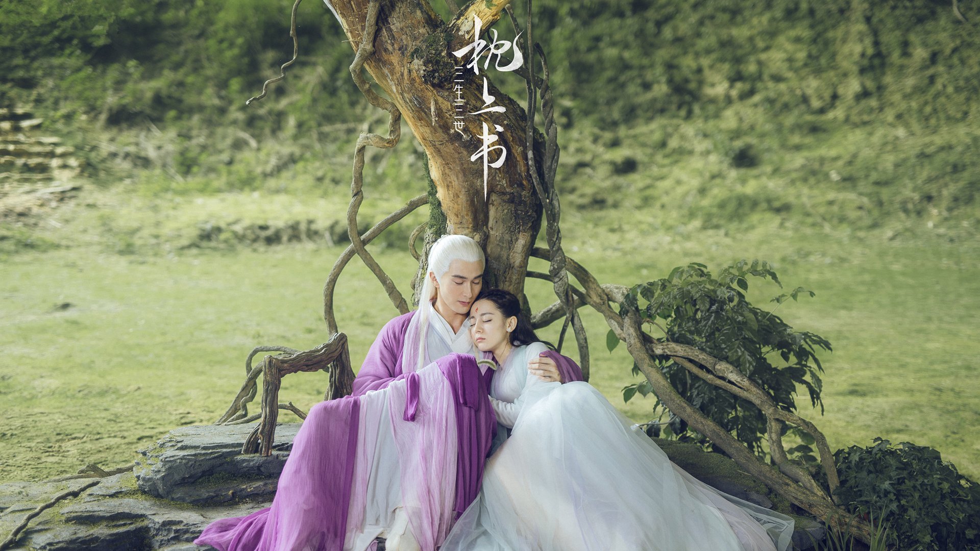 高原雄鹰绝境翱翔，厄瓜多尔终结塞内加尔，昂首晋级十六强