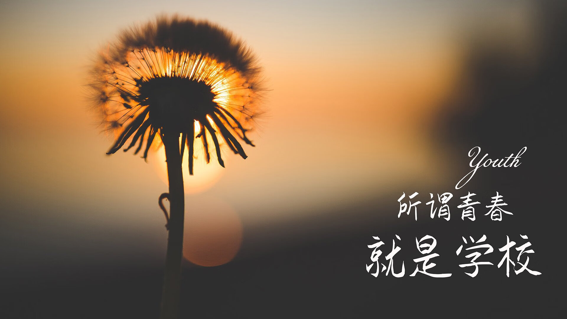 维也纳之夜，北极冰刃与山城铁壁的绝境回响，莫德里奇执掌命运航向