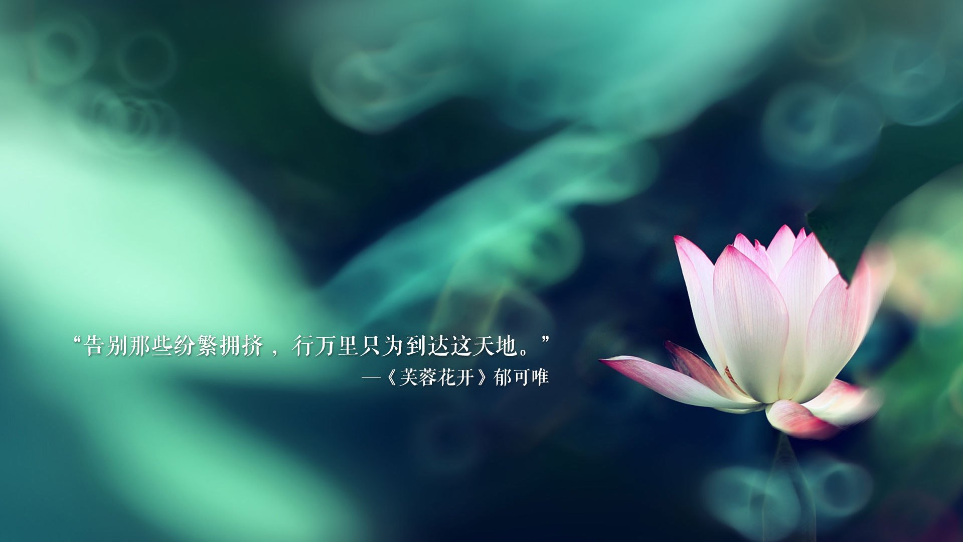 2026世界杯E组唯一性爆冷,绿洲沙暴掩红白,罗德里戈一剑封喉定乾坤