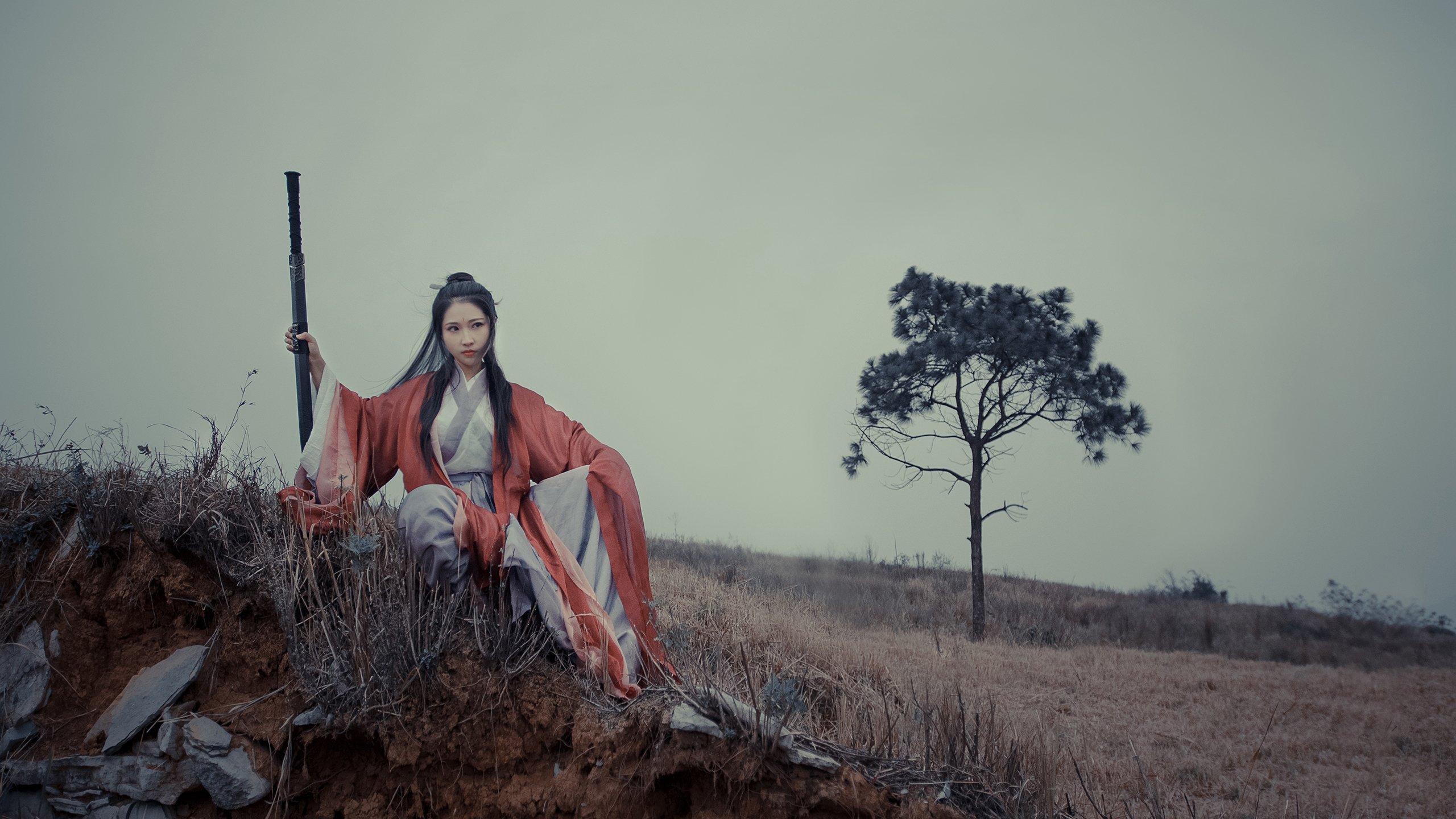 首先，我们来扩展思维，构思一个能体现这种独特视角的标题