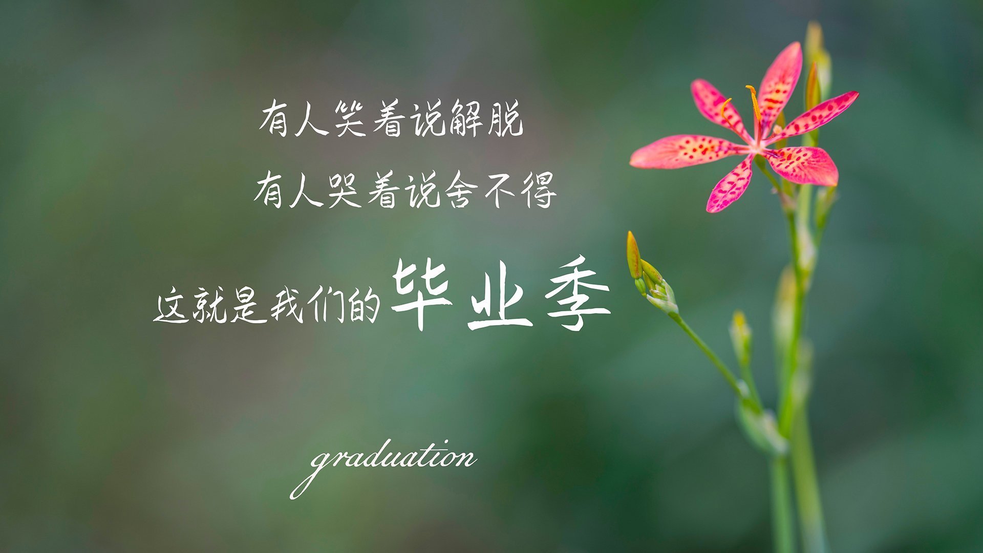 困兽之斗与魔术师，当非洲雄鹰的利爪撕碎桑巴舞步，德布劳内用最比利时的方式破咒重生